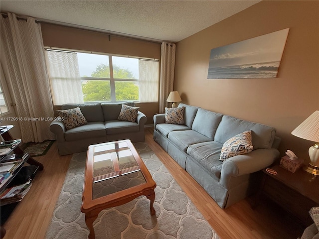 living room featuring light hardwood / wood-style floors and a textured ceiling