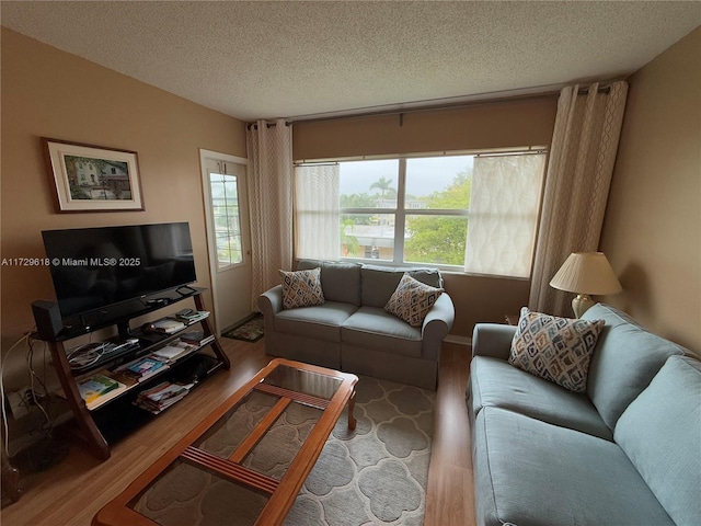 living room featuring a healthy amount of sunlight, a textured ceiling, and hardwood / wood-style flooring