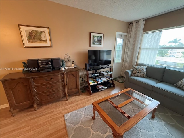 living room with a textured ceiling and light hardwood / wood-style flooring