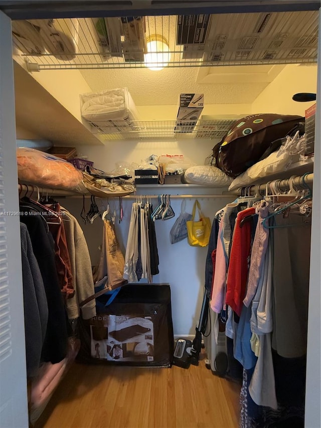 walk in closet featuring wood-type flooring