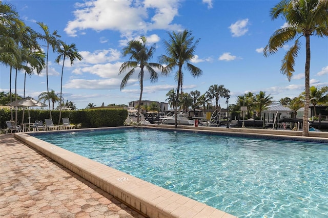 view of swimming pool