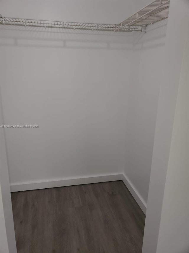 spacious closet with dark hardwood / wood-style flooring