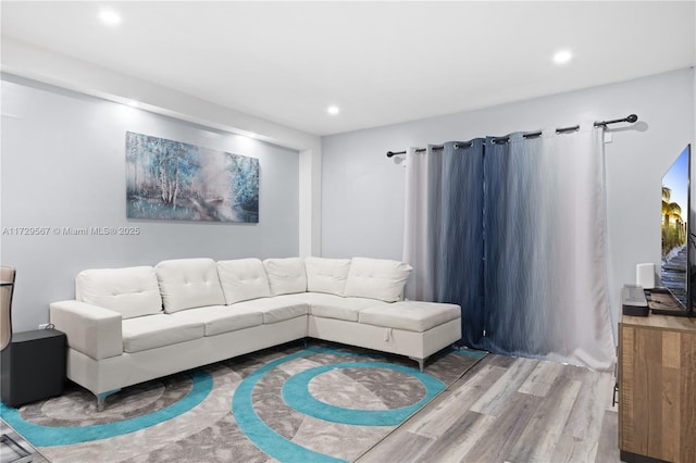 living room with hardwood / wood-style flooring