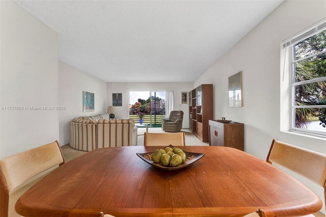 dining room featuring a wealth of natural light