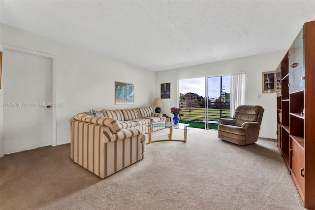 living room featuring a textured ceiling and carpet