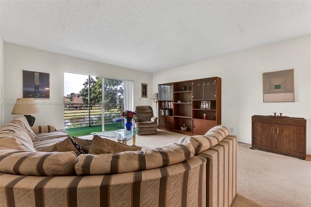 carpeted living room with a textured ceiling