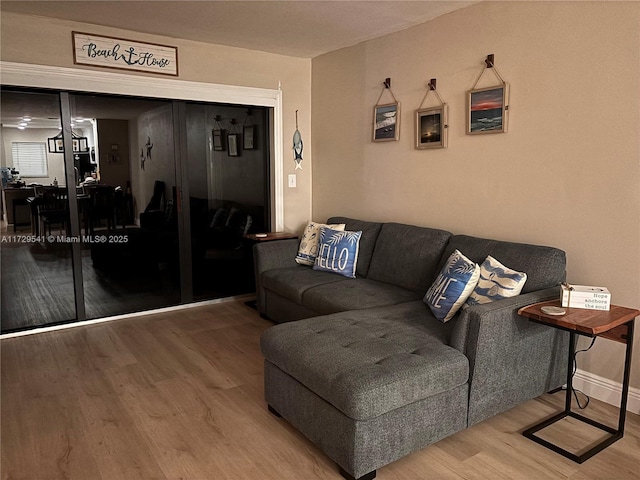 living room with hardwood / wood-style flooring