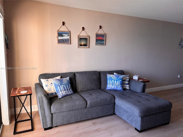 living room with hardwood / wood-style flooring