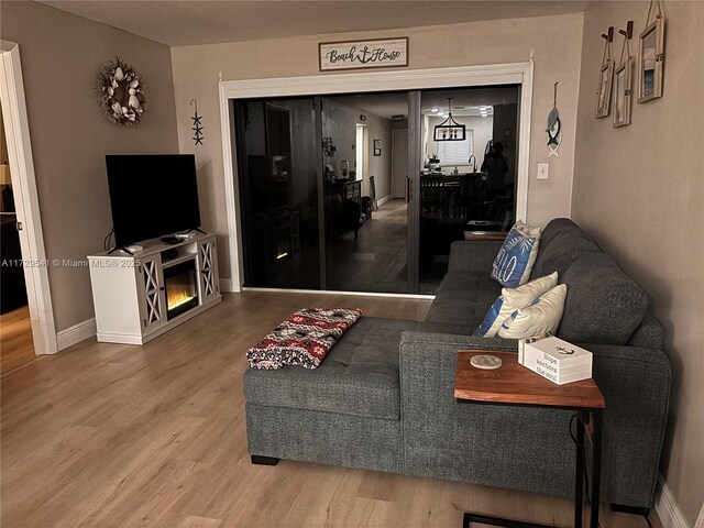 living room with hardwood / wood-style floors