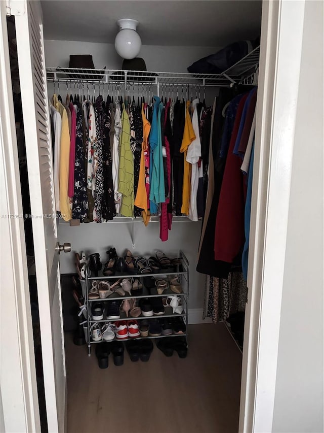 view of spacious closet