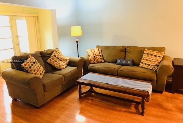 living room featuring wood-type flooring