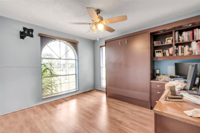 office with ceiling fan and light hardwood / wood-style flooring