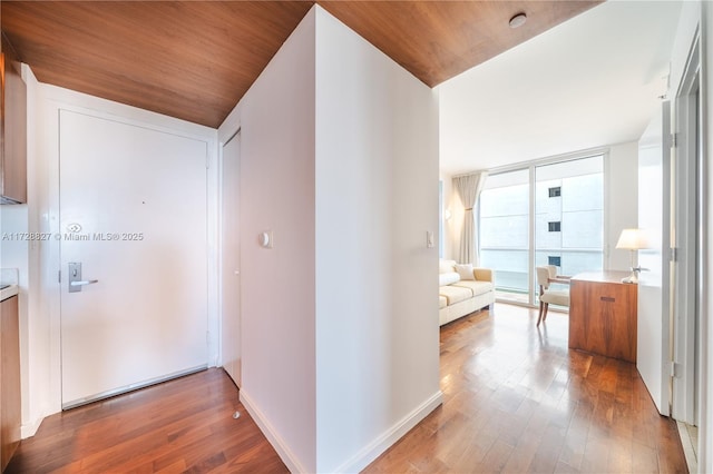 hall with hardwood / wood-style flooring, wooden ceiling, and floor to ceiling windows