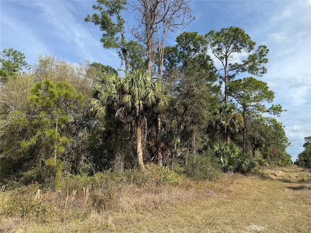 785 S Isora St, Clewiston FL, 33440 land for sale