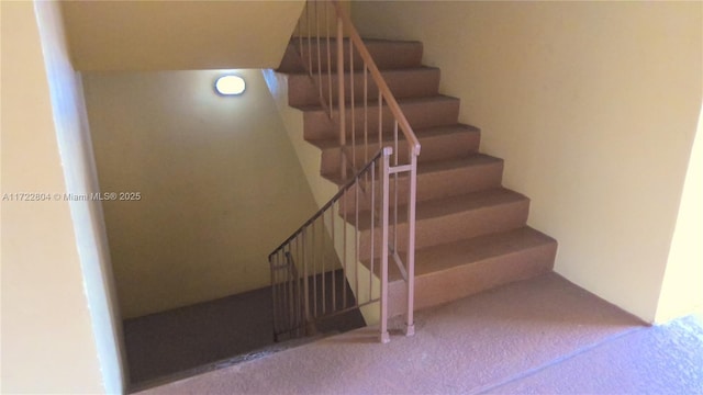 stairs featuring carpet flooring