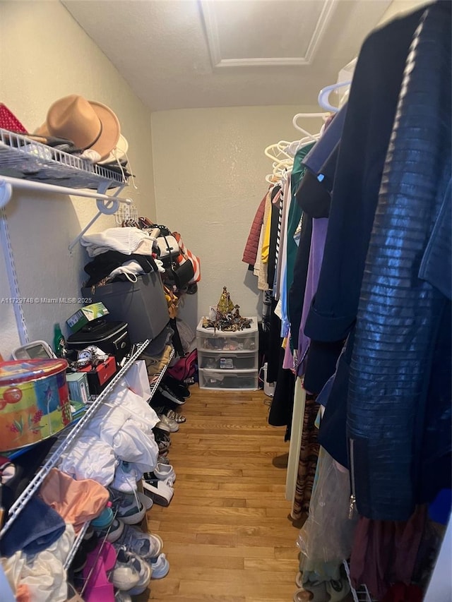 spacious closet with hardwood / wood-style floors