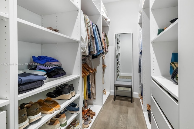 13100 Keystone Ter, North Miami, FL 33181 - walk in closet featuring light wood-type flooring