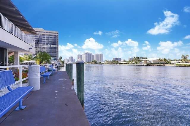 dock area with a water view