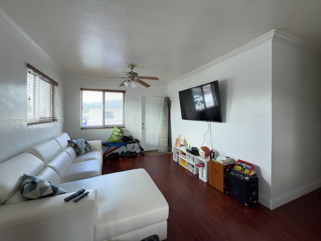 living room with ceiling fan, dark hardwood / wood-style flooring, and crown molding