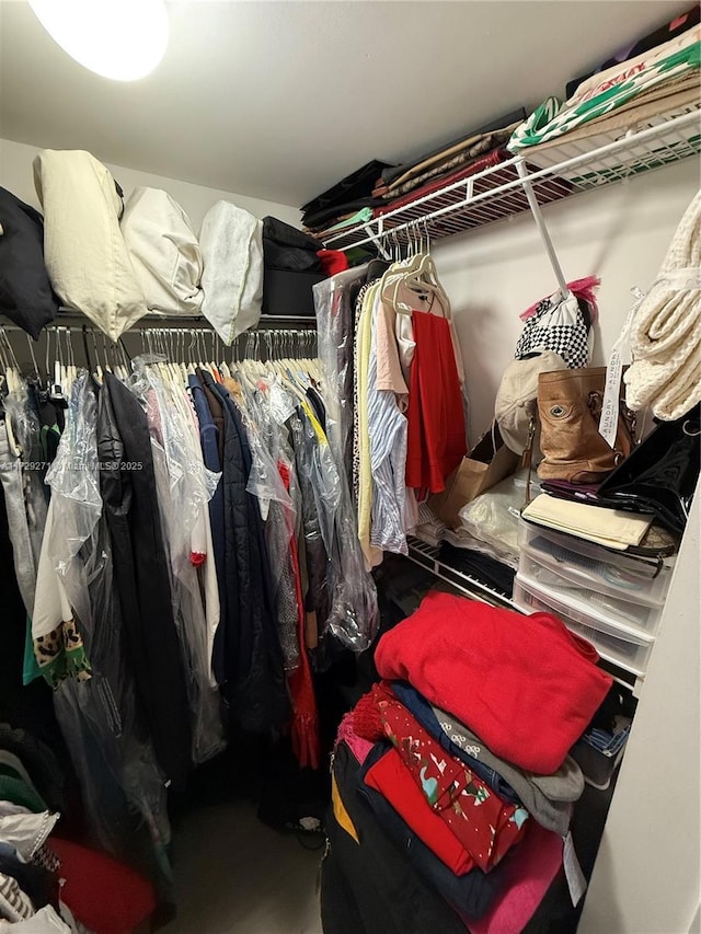 view of spacious closet