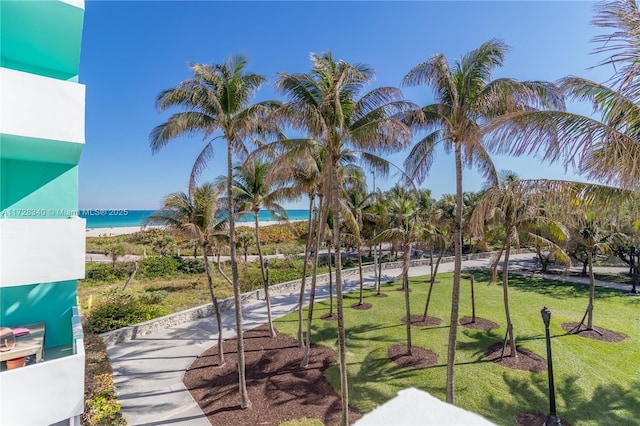 surrounding community featuring a water view and a yard