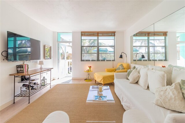 living room featuring light wood-type flooring and a healthy amount of sunlight