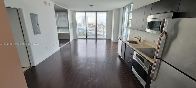 kitchen with dark hardwood / wood-style flooring, sink, appliances with stainless steel finishes, electric panel, and floor to ceiling windows