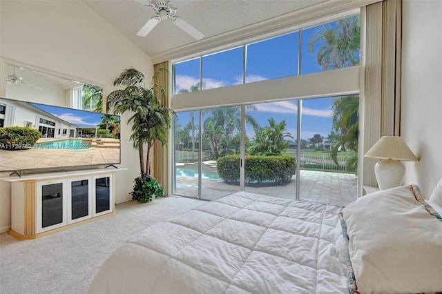 bedroom featuring ceiling fan, access to exterior, high vaulted ceiling, and carpet flooring