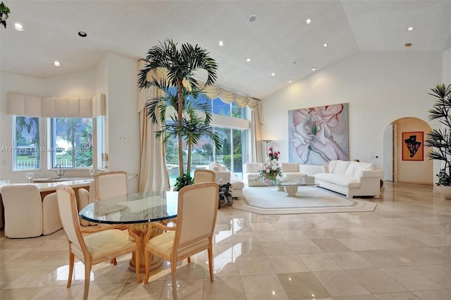 interior space featuring a healthy amount of sunlight and high vaulted ceiling