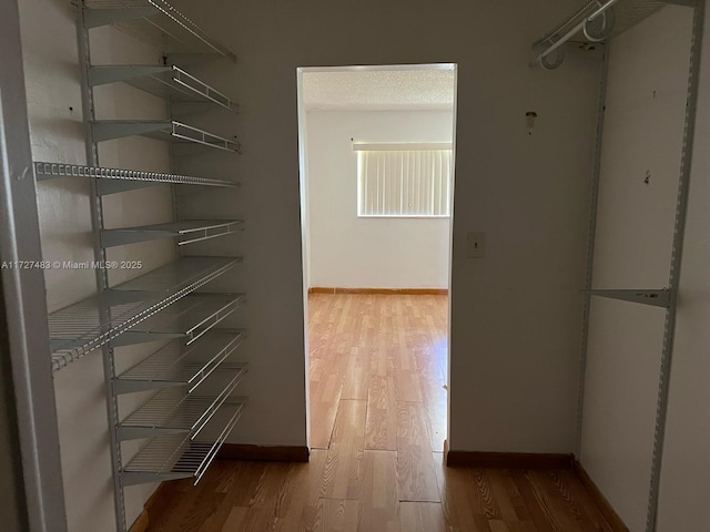 spacious closet with hardwood / wood-style floors