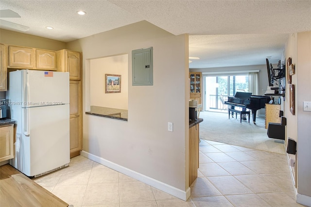9400 N Hollybrook Lake Dr Unit 303, Pembroke Pines, FL 33025 - kitchen with freestanding refrigerator, dark countertops, electric panel, and a textured ceiling