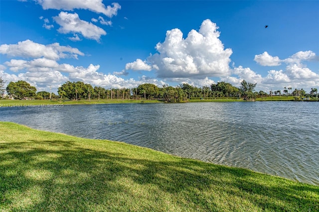 9400 N Hollybrook Lake Dr Unit 303, Pembroke Pines, FL 33025 - property view of water