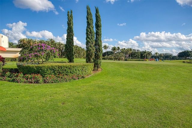 view of yard