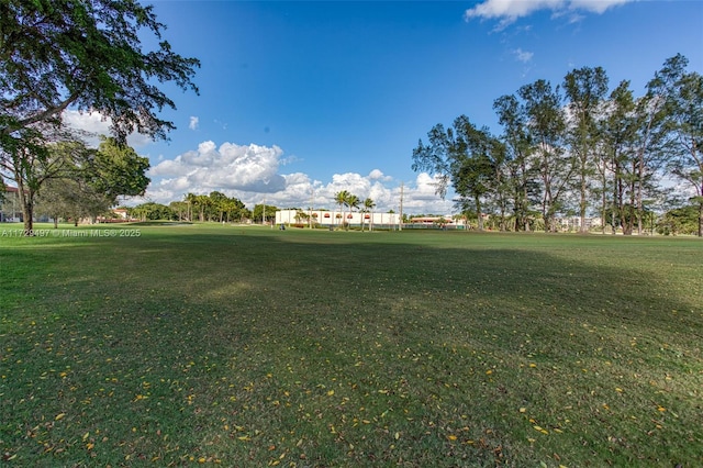 9400 N Hollybrook Lake Dr Unit 303, Pembroke Pines, FL 33025 - view of yard