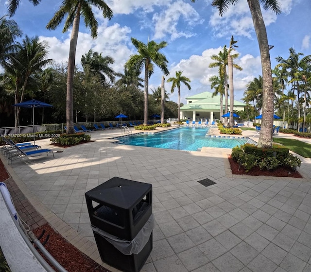 view of pool featuring a patio area