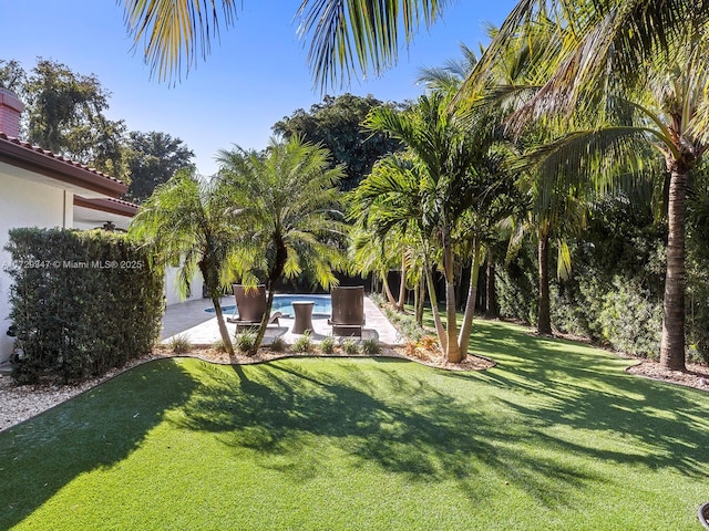 view of yard with a patio area