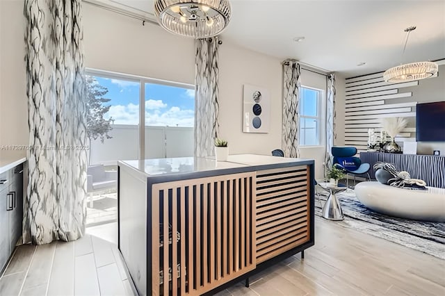 interior space featuring light hardwood / wood-style floors and multiple windows