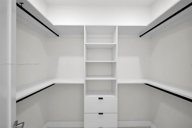 view of spacious closet