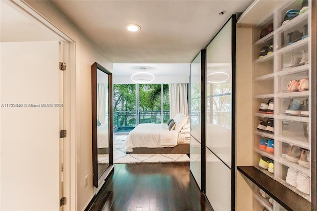 hall featuring dark hardwood / wood-style floors