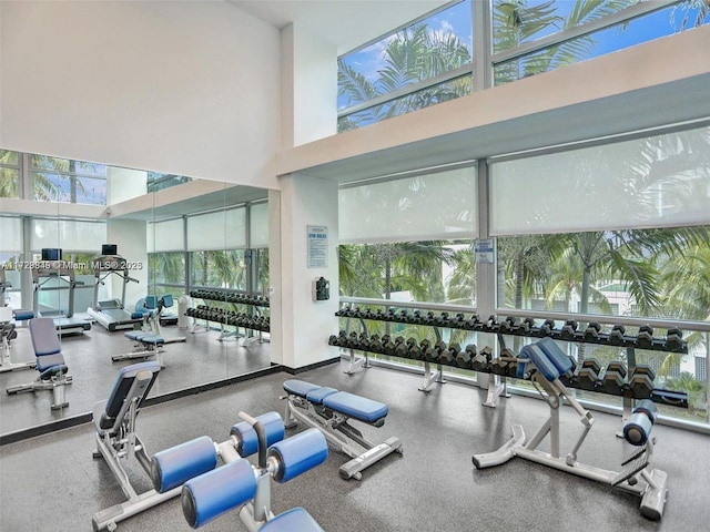 gym featuring a towering ceiling