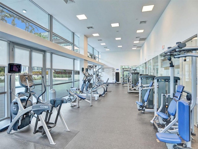 exercise room featuring plenty of natural light and a high ceiling