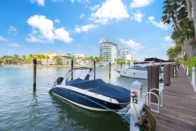 dock area with a water view