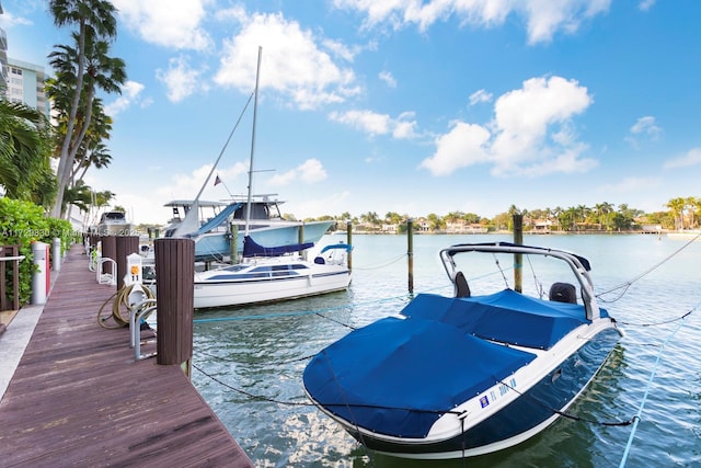 dock area featuring a water view