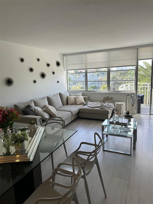 living room with hardwood / wood-style floors