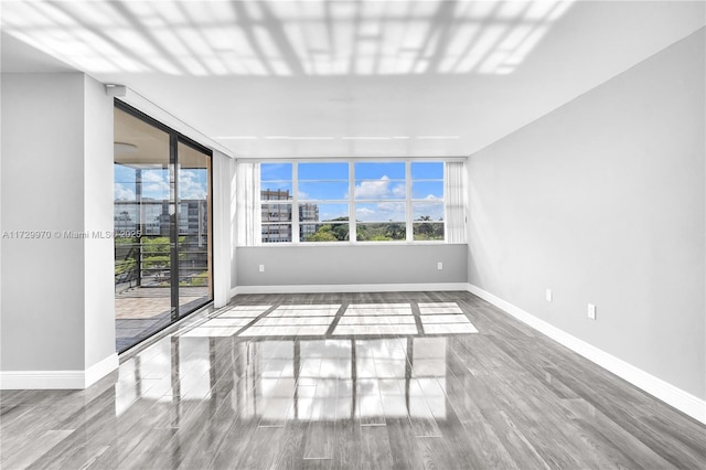 spare room featuring wood-type flooring