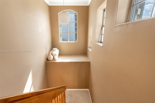 interior space with ornamental molding and carpet flooring