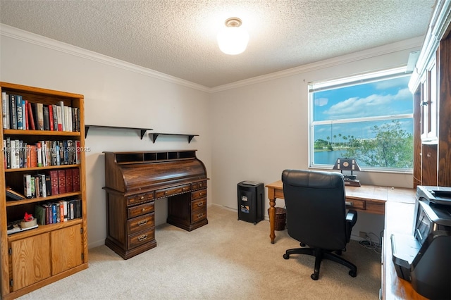 office area with a textured ceiling, crown molding, and light colored carpet