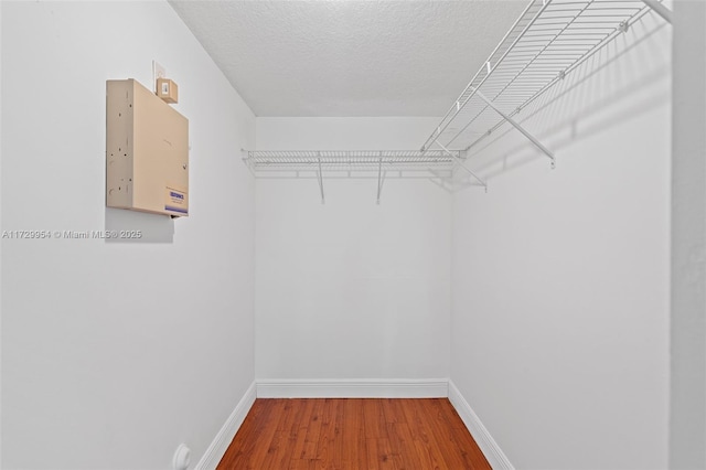 spacious closet featuring wood finished floors