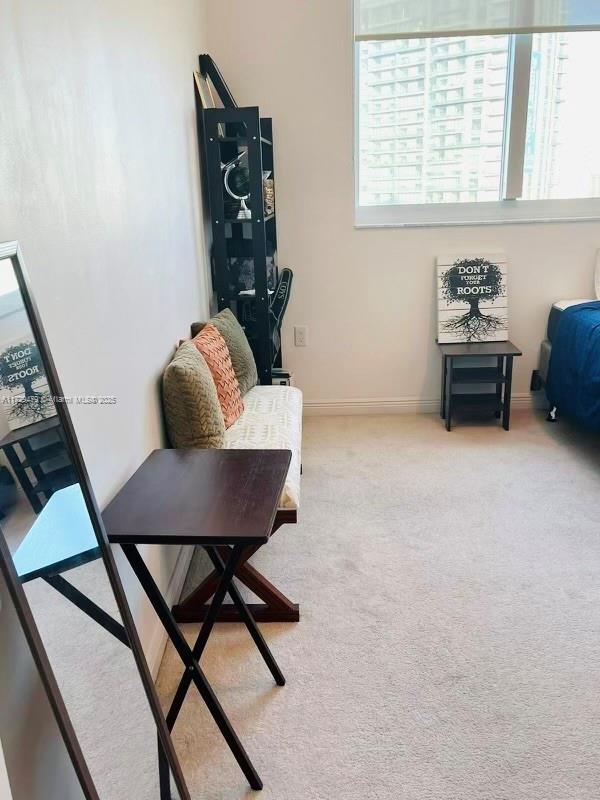 sitting room with carpet floors and baseboards