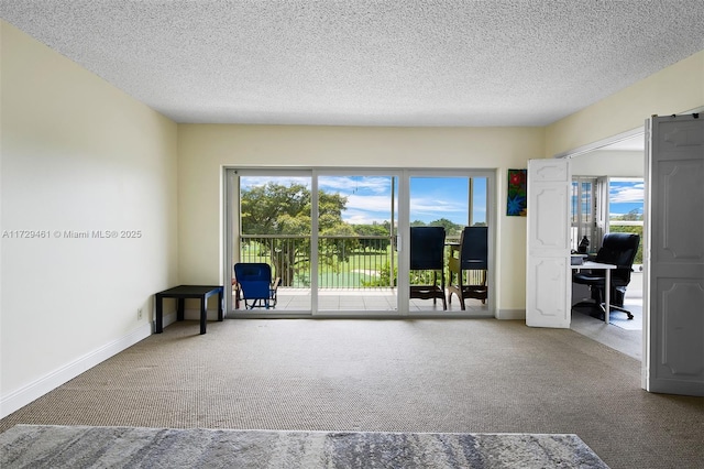 carpeted empty room featuring plenty of natural light and a textured ceiling